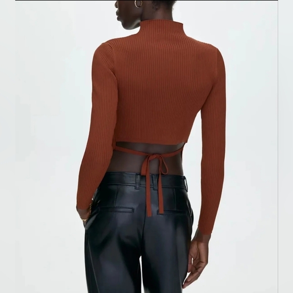 ARITZIA | Babaton Sculpt Knit High Neck Tie Back Ambrosia Sweater - Small - Picture 2 of 5